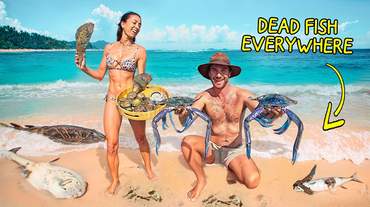 7 Days Exploring Australia’s Wild Coast (MASS FISH DIE-OFF SPECIAL) thumbnail