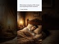 Kafka knew the mind longs for sleep, a brief escape from life’s endless absurdities.