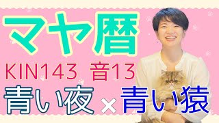 マヤ暦【KIN143】青い夜 青い猿 音13 開運ポイント