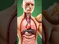 ڈبہ روٹی کےفائدےاورنقصانات😨ویڈیوکوآخرتک لازمی دیکھیں#3dsciencevideo#pleasesubscribemyyoutubechannel🙏