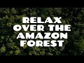 Calm Music Over The Amazon Rainforest (Episode1) [No Copyright]