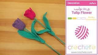 تعليم الكروشيه: وردة توليب - Learn how to Crochet: Tulip Flower