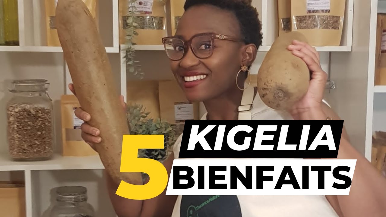 Kigelia africana : 5 Bienfaits que tu devrais savoir - YouTube