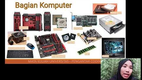 TUGAS 1 PENGANTAR CODING (SISTEM KOMPUTER DAN PENGANTAR PEMROGRAMAN)