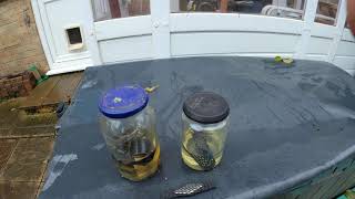 Fuel Diamond Fuel Catalyst 11 month update