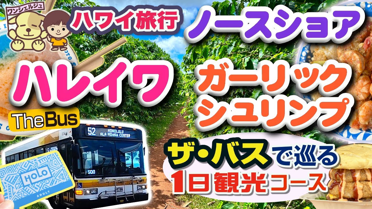 ハワイ ハレイワ ザ バスで巡るノースショア観光モデルコース！ガーリックシュリンプのジョバンニ/ワイキキからハレイワの行き方帰り方/ルースクリス/ホノルル空港/ハワイアン航空/2025年の最新情報も有
