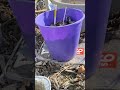 Grow Food with repurposed containers &amp; planters. Use what you have and find for cheap.