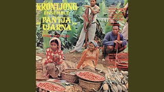 Video thumbnail of "Krontjong Ensemble 'Pantja Warna - Bengawan Solo"