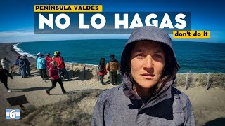 👉 Aquí SUCEDE ALGO RARO y todos lo quieren ver | Península de Valdés