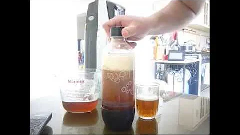 GASIFCACION DE CERVEZA EN PET