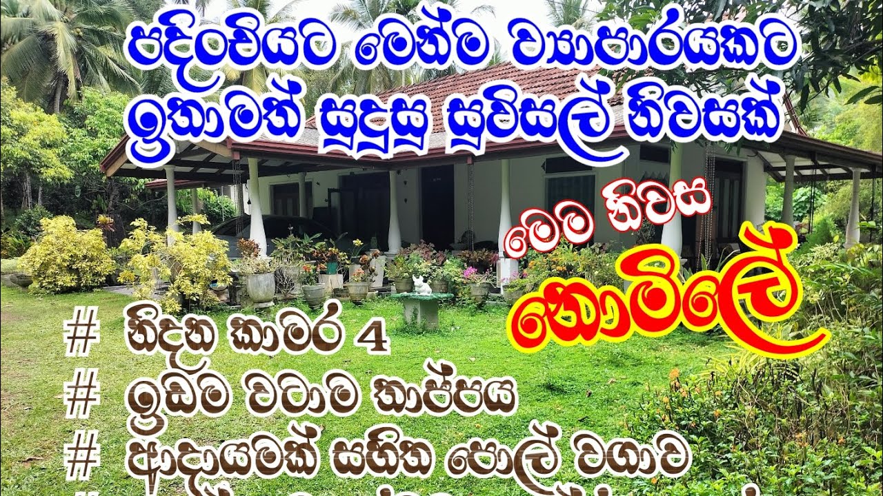 ඉඩමට සුවිසල් නිවසක් නොමිලයේ දෙනවා ඉඩම පර්.148  ලක්ෂ 250/=