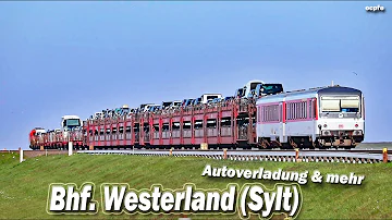 Wie viele Autos passen auf den Zug nach Sylt?