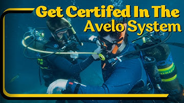 Try Out The Avelo System
