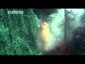 Jaaneman Jaanewafa - Rishi Kapoor - Farah - Naqab - Hindi Song