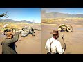 RDR2 All Animals Attack - [Main Animal/Event] | Epic Wild Moments"Ep.19