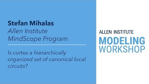 Allen Institute Modeling Workshop | Stefan Mihalas