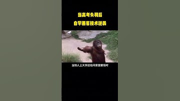 NINJA OMEGA SEC  |  当高考失利后，自学黑客技术逆袭！ #计算机 #网络安全 #编程 #黑客 #信息安全