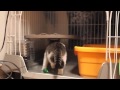 じゅんちゃんと遊ぼう