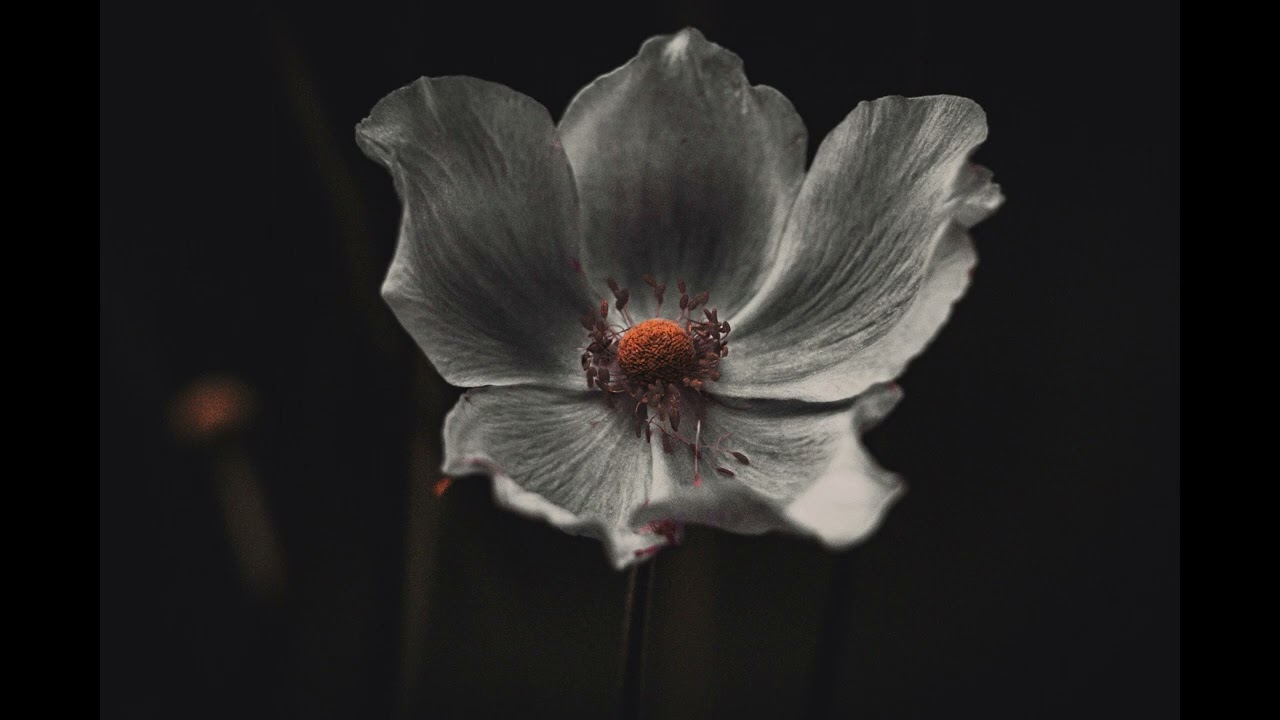 Sanfte Klänge für die kurze mentale Pause