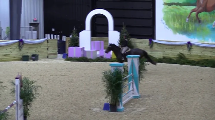 Video of AIRDROP ridden by SARAH L. BERKOWITZ from...