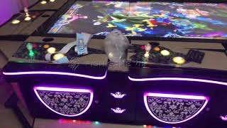 Bird shooting hunter arcade game with  55 LCD screen testing and sending out to USA screenshot 1