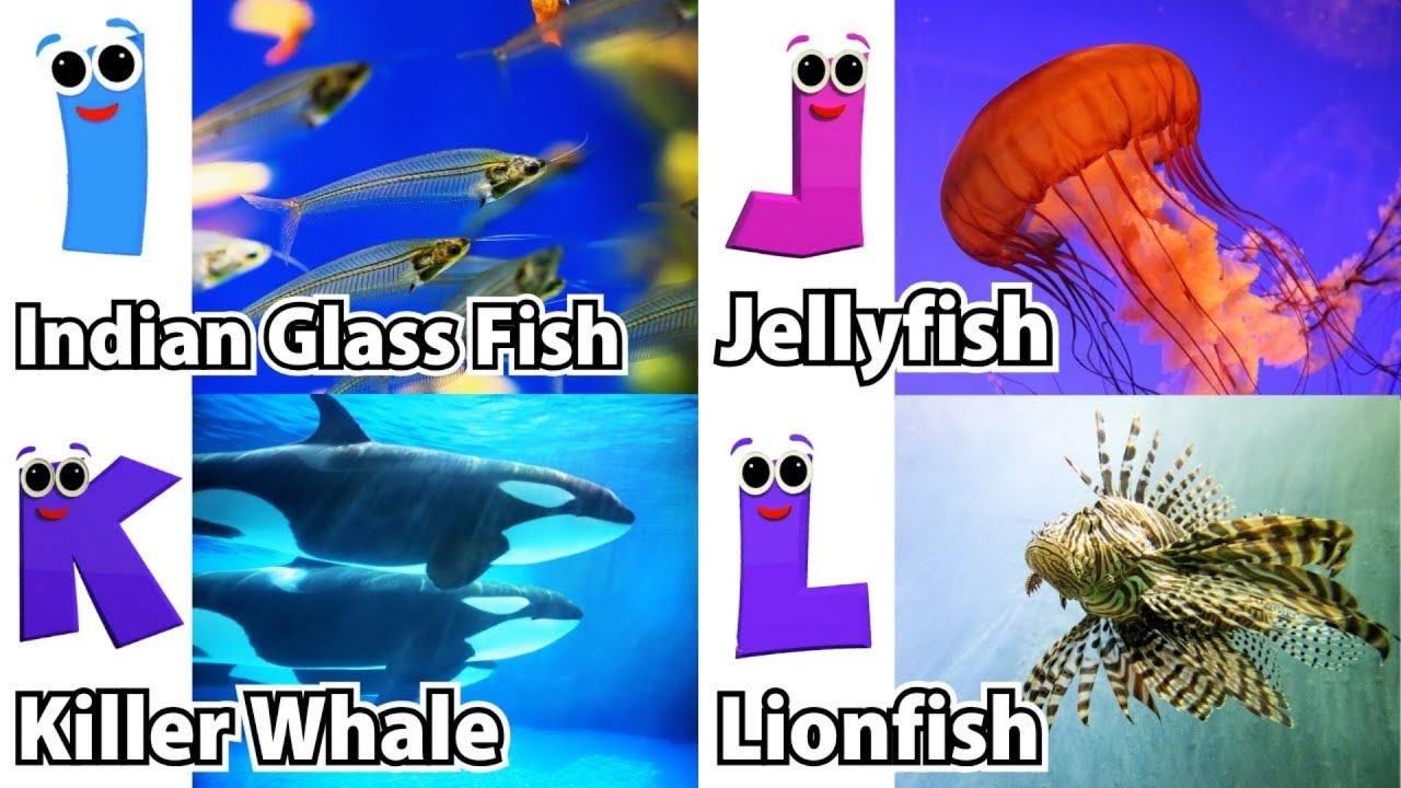 ABC Video for Toddlers | A to Z Alphabet with Sea Animals | Kids Learning Song