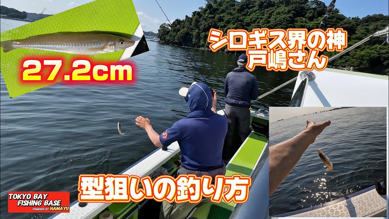 神　戸嶋さん　型狙いのシロギス釣り　2画面で手元まで見れます