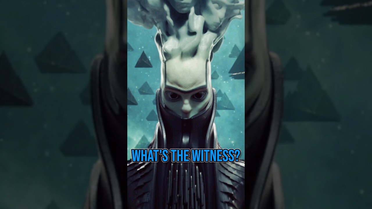 Explaining The Witness to new Destiny 2 players! 