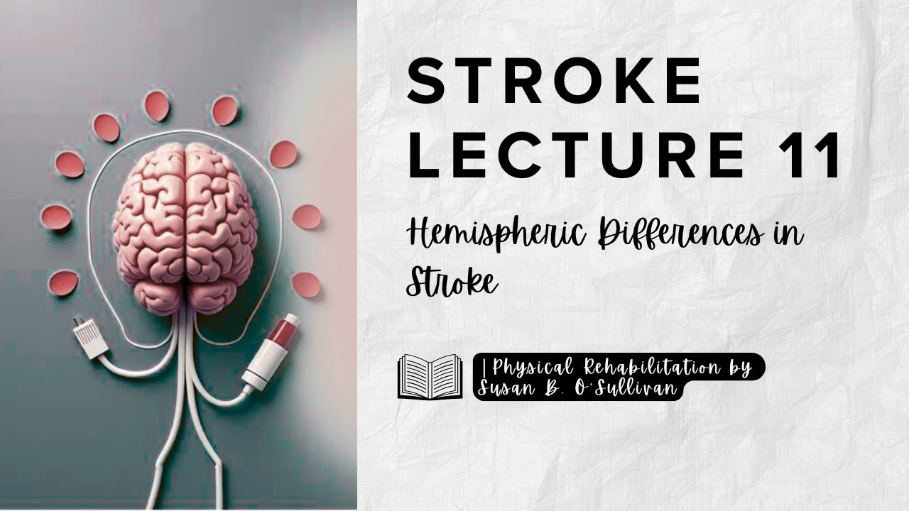 Stroke (Lecture 11) - Hemispheric Differences in Stroke: Left vs. Right Brain Damage