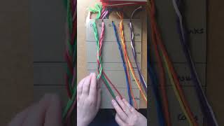 Plaiting a plexus workshop