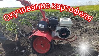 Окучивание картофеля мотоблоком 2021 год