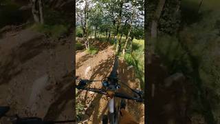 Beech MTN Flow-Tech 🤯⛰️💨