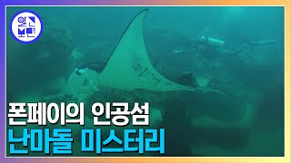 모닝와이드 3부 특집_지구의 심장 태평양 대탐험7, 폰페이섬의 난마돌 미스터리