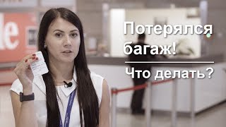 Что делать если не прилетел багаж?