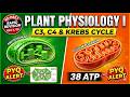Day 7: Photosynthesis & Respiration in 1 Shot | PYQ Alert: RuBisCO & ATP Yield | Re-NEET 2026