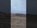 Jeep Drag Race Florence Oregon Sand Dunes #sanddunes #jeep #dragrace