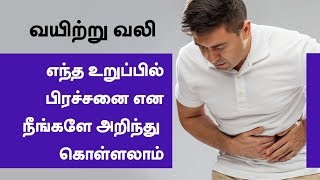 Identifying Causes of Stomach Pain in Tamil - What are the reasons?