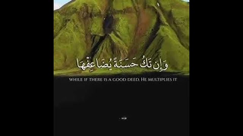 أكتب  شيء  تؤجر  عليه♥️ بدون حقوق قرآن كريم | حالات واتس اب
