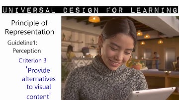 Principle of Representation - Perception - Criterion 3