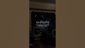 أو ليس الذي خلق السموات والأرض♥️🌱| ماهر المعيقلي | سورة يس