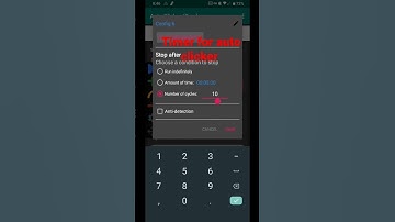 Auto Clicker Timer