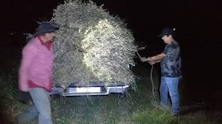Cosecha de alfalfa