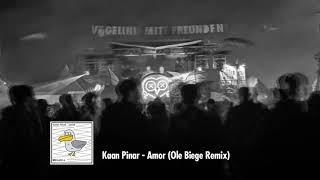 Kaan Pinar - Amor (Ole Biege Remix) [VmF Records]