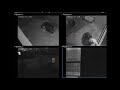 五月山動物園ウォンバットてれび ライブカメラ Wombat Live Stream