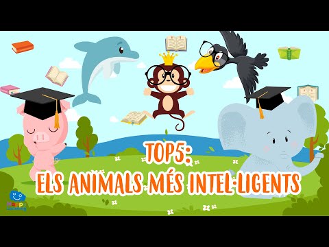 Vídeo: Els animals tenen intel·ligència?