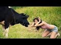 حالات واتس اب 2018  مضحكة  ستندم ان لم تشاهدها  funny videos