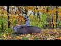 Ohio Archery Buck |Late October Pre-Rut | Mobile Hunting | Hunting Micro Parcels |