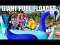 We Filled Our ENTIRE Pool with the World's Largest Pool Float!!