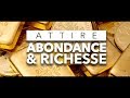 Attire abondance et richesse  message subliminal  attirer de largent comme un aimant