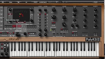PolyKB II V2 5 SpaceXY Tutorial